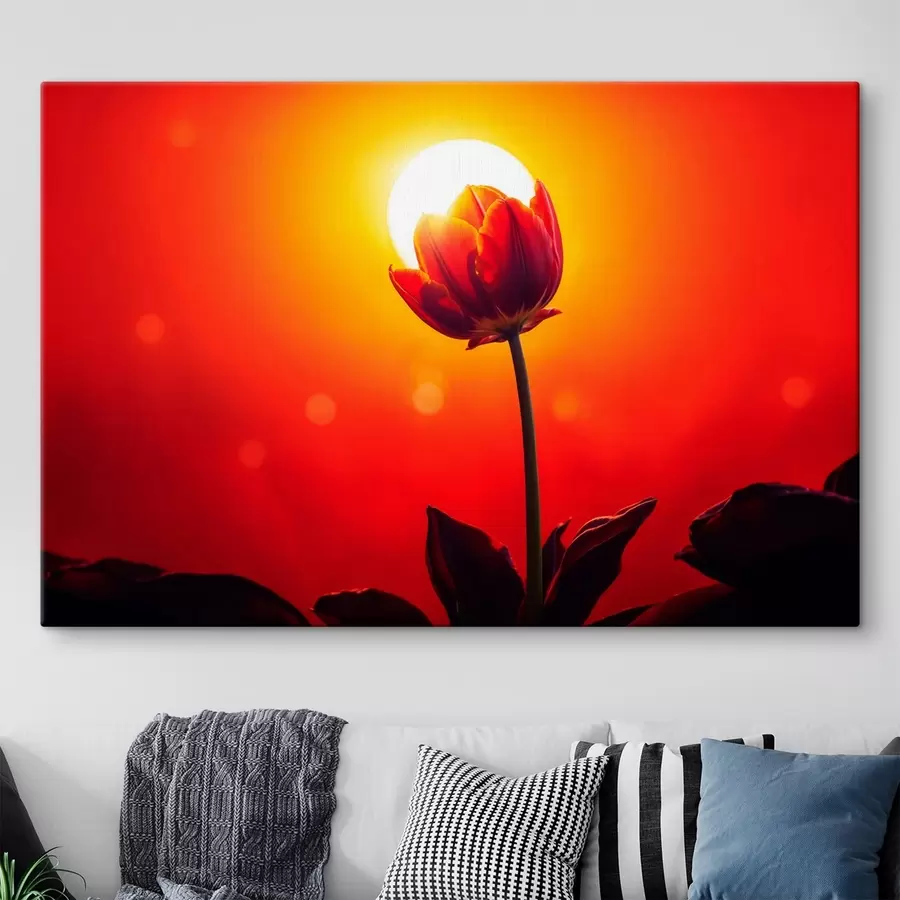 Fototapete Tulpe auf Sonnenuntergang Hintergrund s42922