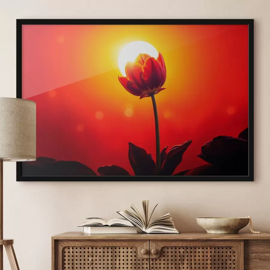 Fototapete Tulpe auf der Rückseite von funfet gefunden f42922