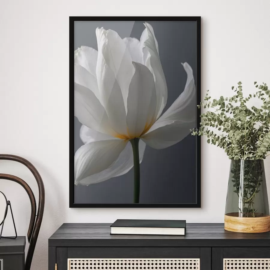 Fototapete Weißer Flowef auf gfay backgfound f42779