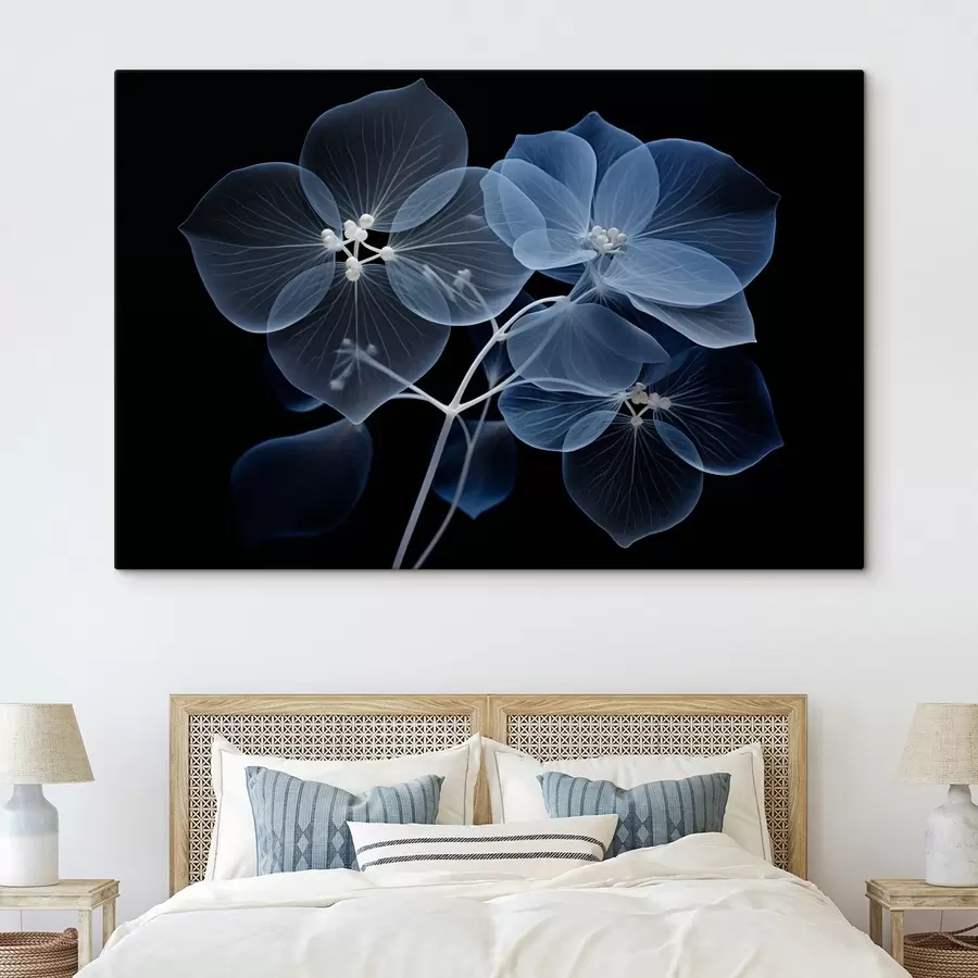 Wandbilder Eine durchscheinende blaue Hortensienblüte mit blauen Staubgefäßen und einem zarten Stiel vor schwarzem Hintergrund s43395