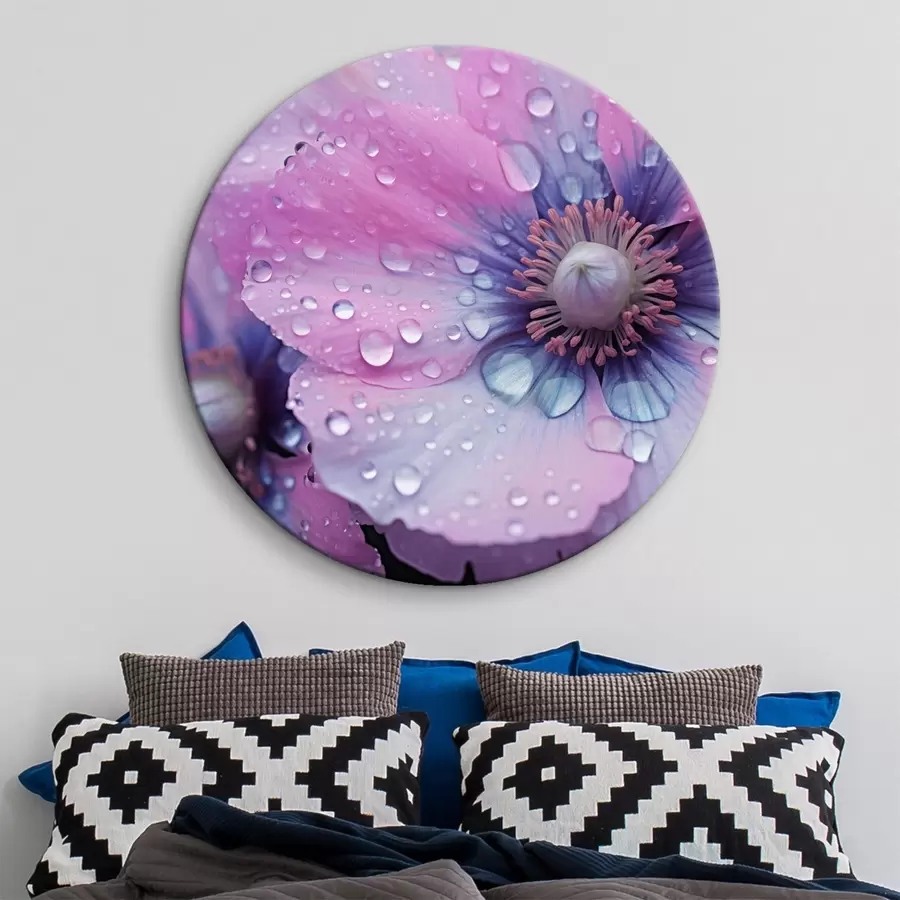 Wandbilder Rosa und lila Blumen in voller Blüte in Wassertropfen bedeckt, auf dunklem Hintergrund r43394