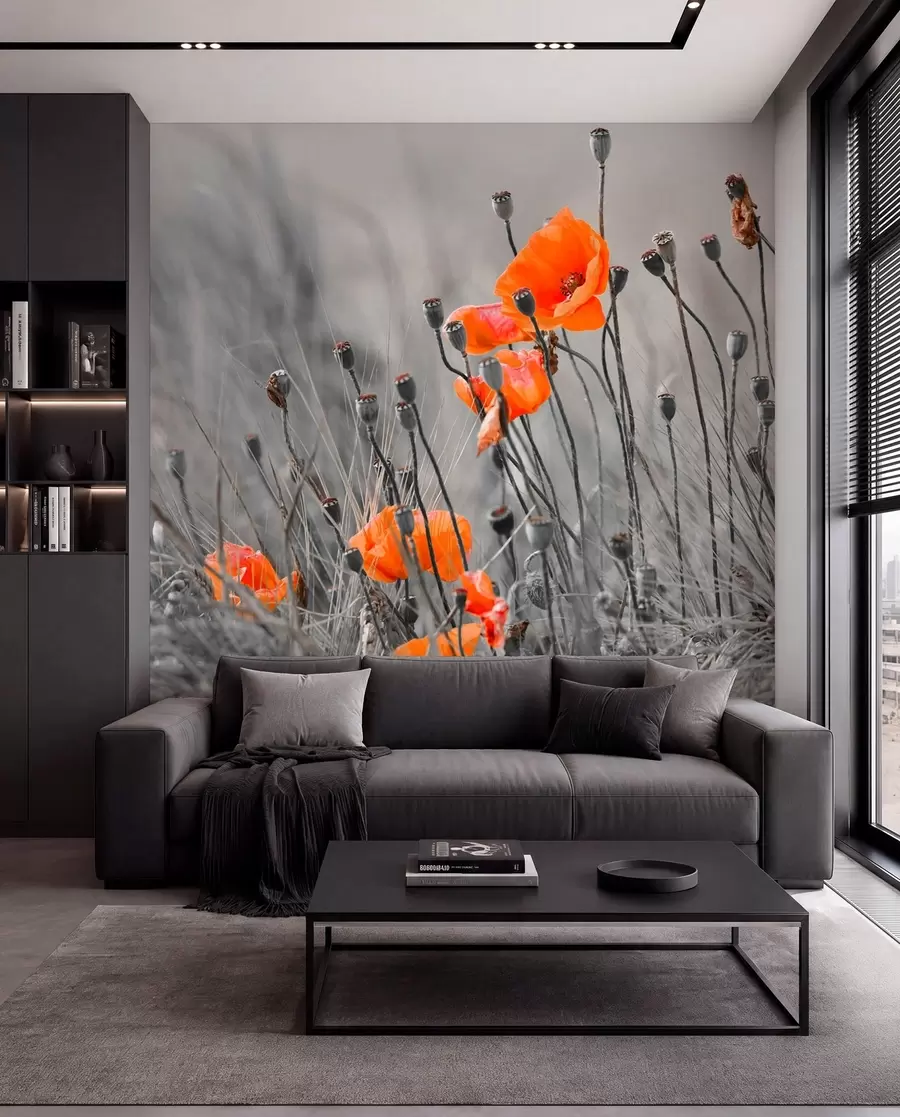 Fototapete Klatschmohn u53411