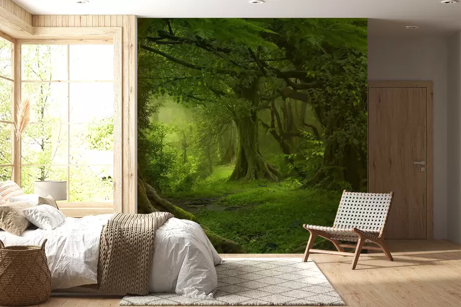 Fototapete Uralter Wald u56167
