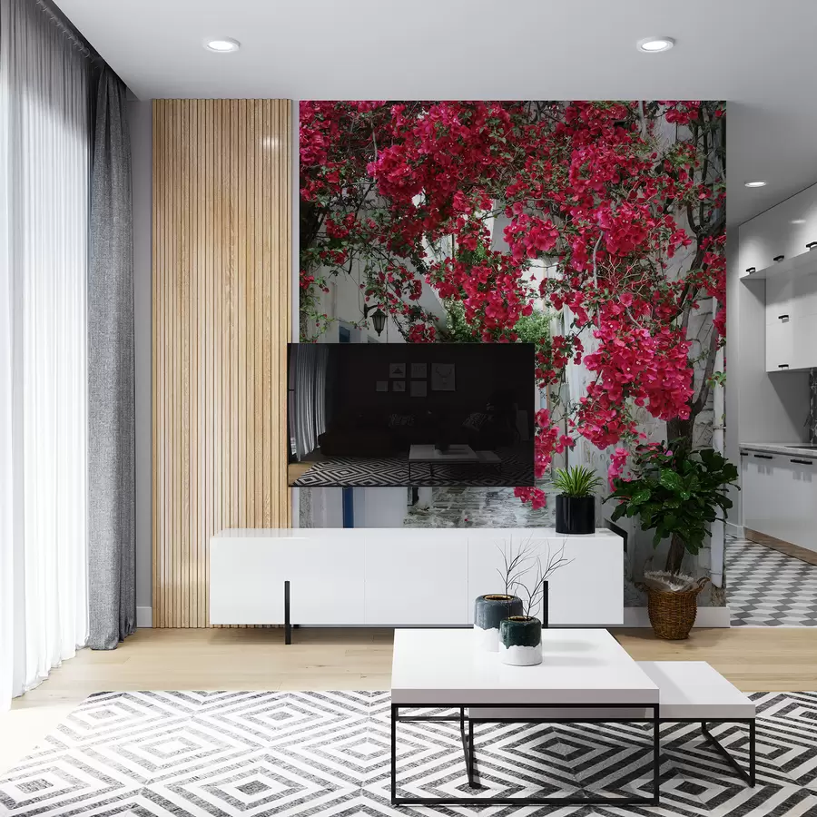 Fototapete Blume, Tageszeit und Blütenblatt u60583