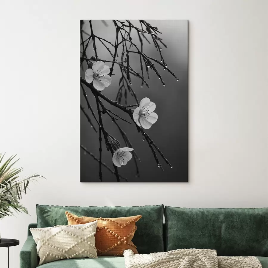 Wandbilder Blumen auf den Zweigen nach dem Regen s44098