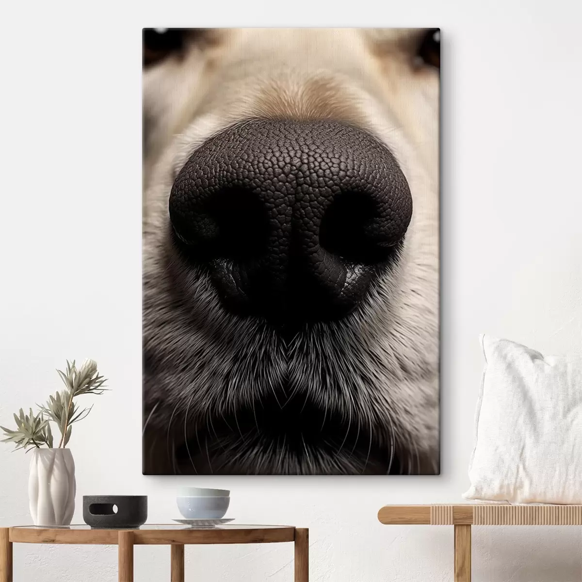 Wandbilder Hundenase s44273