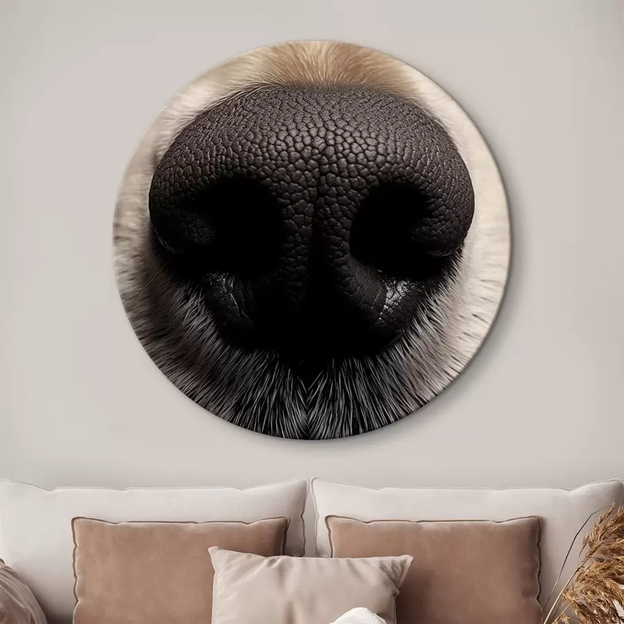 Wandbilder Hundenase r44273