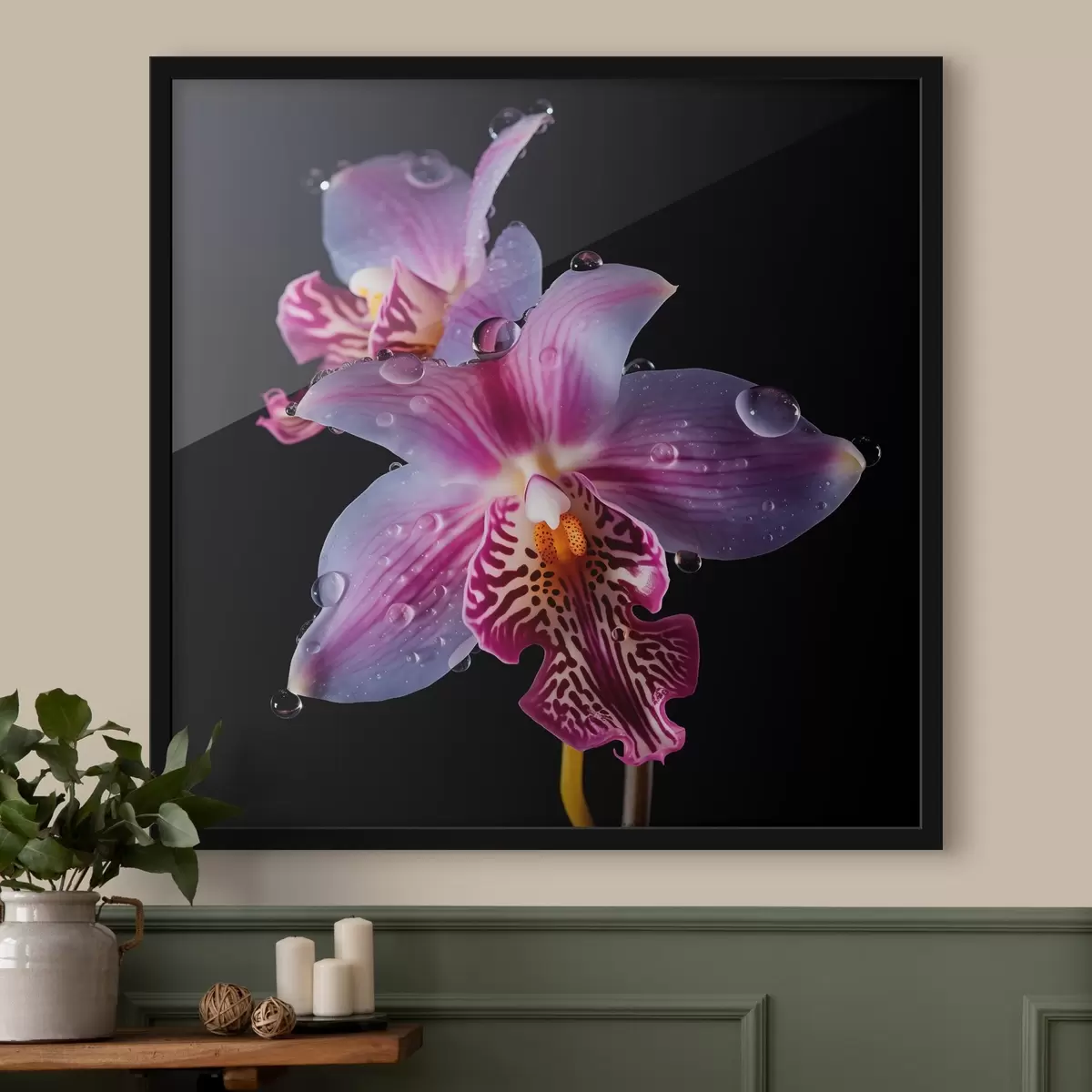 Poster Wassertropfen auf Orchideenblättern f44356