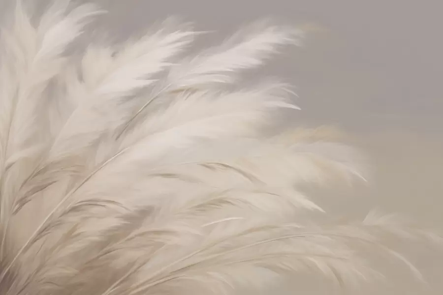 Fototapete Weiche, flauschige Gräser in Beige und Grau w03992