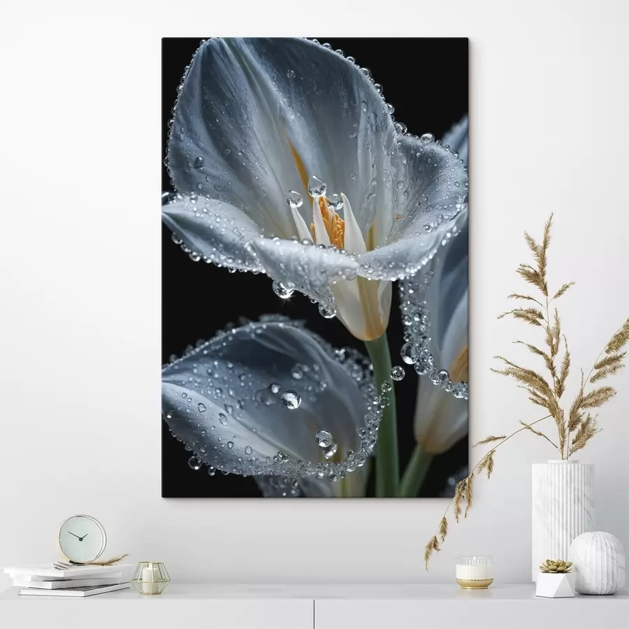 Wandbilder Transparente Blume auf schwarzem Hintergrund s44479