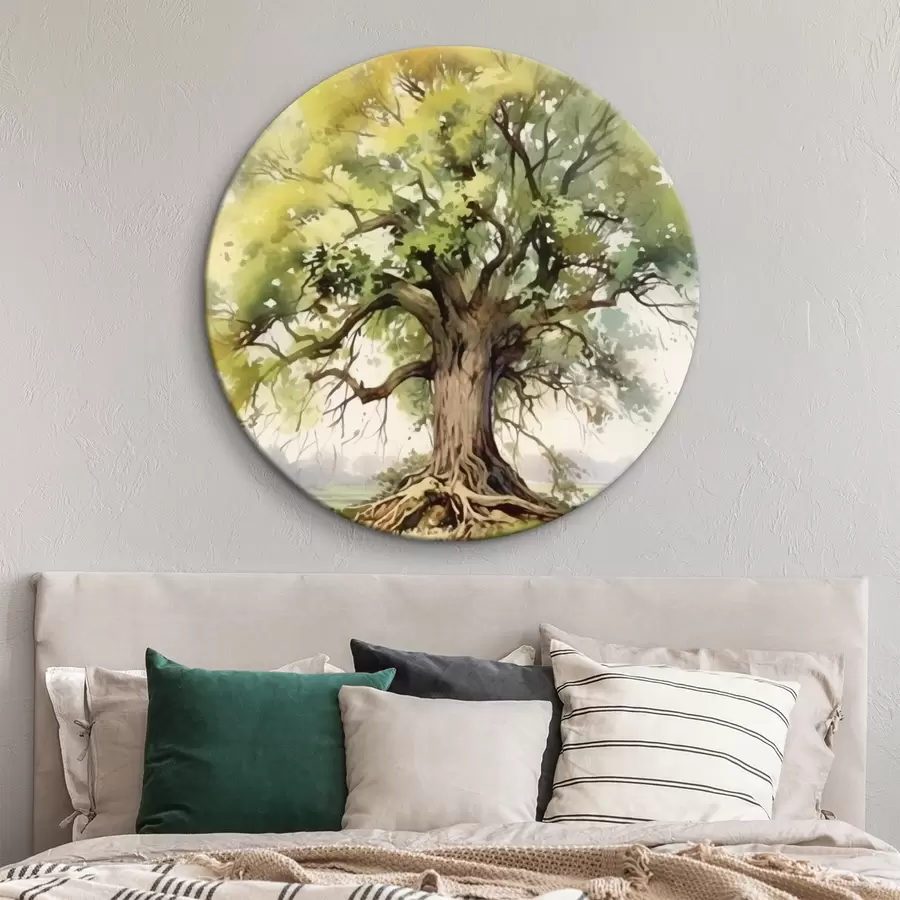 Wandbilder Ein alter Baum mit ausladenden Wurzeln r44731