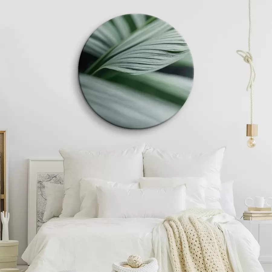 Wandbilder Tropische Blätter mit Wassertröpfchen in nebliger Umgebung r44903