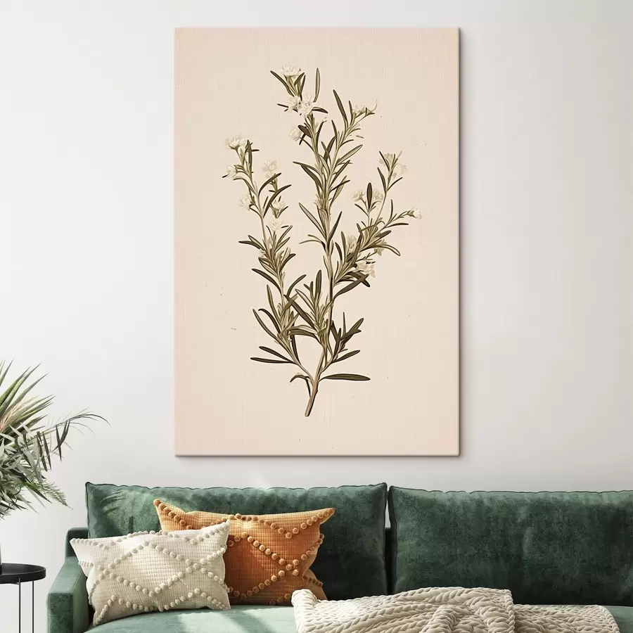 Wandbilder botanisch, Zweig, beige Hintergrund, Kraut, minimal, Pflanze, grüne Blätter, Stamm s45098