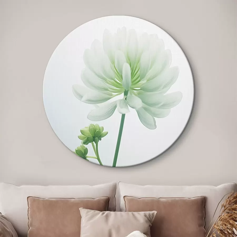 Wandbilder Weißer Klee Blume mit grünen Stiel und Blätter, weiche Beleuchtung, sauberen Hintergrund, minimalistische Komposition, botanische r45171