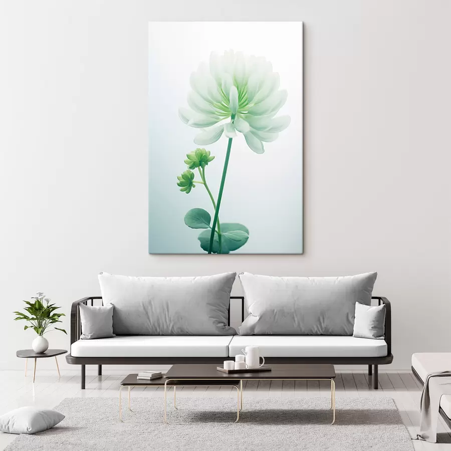 Wandbilder Weißer Klee Blume mit grünen Stiel und Blätter, weiche Beleuchtung, sauberen Hintergrund, minimalistische Komposition, botanische s45171