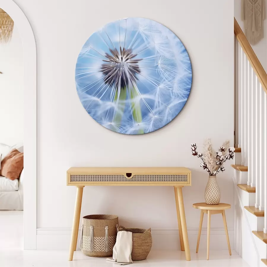 Wandbilder Makroaufnahme einer Pusteblume auf blauem Hintergrund r45517