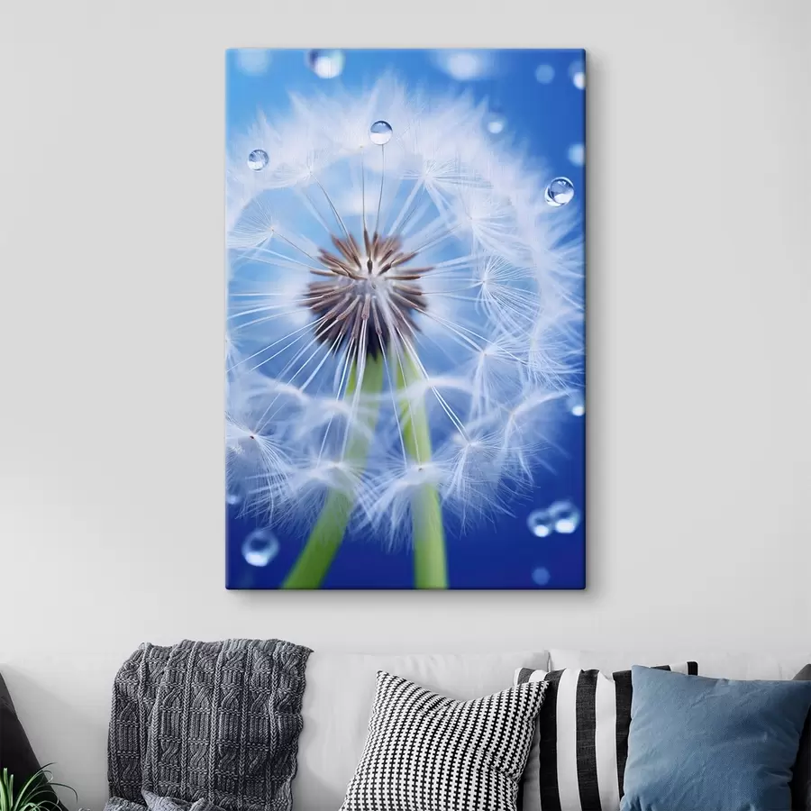 Wandbilder Makroaufnahme einer Pusteblume auf blauem Hintergrund s45517