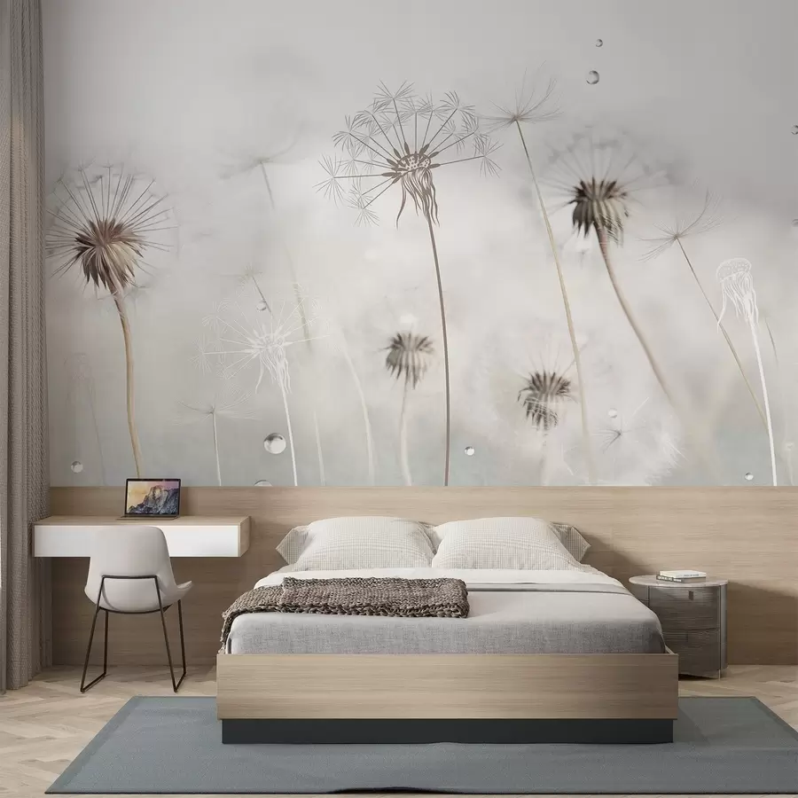 Fototapete Löwenzahn mit Wassertropfen, weißer Hintergrund, Nahaufnahme, weiches Licht, Natur, botanisch, ätherisch, zart, minimalistisch w09399