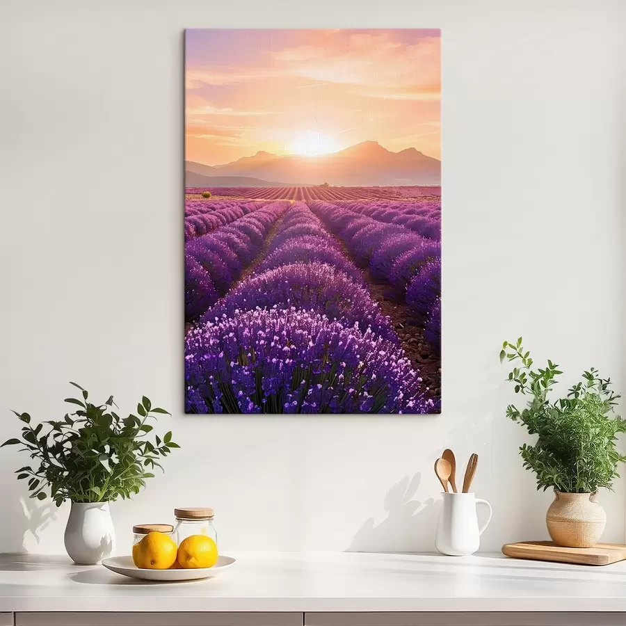 Wandbilder Sonnenuntergang in einem Lavendelfeld s45663