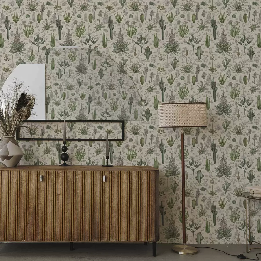 Fototapete Kakteen und Sukkulenten auf warmem Hintergrund, detailreicher Druck a00666