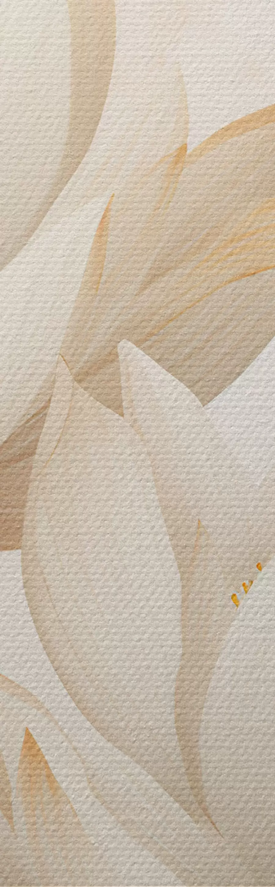 Wandbilder Wunderschöne Lotusblumen m00861