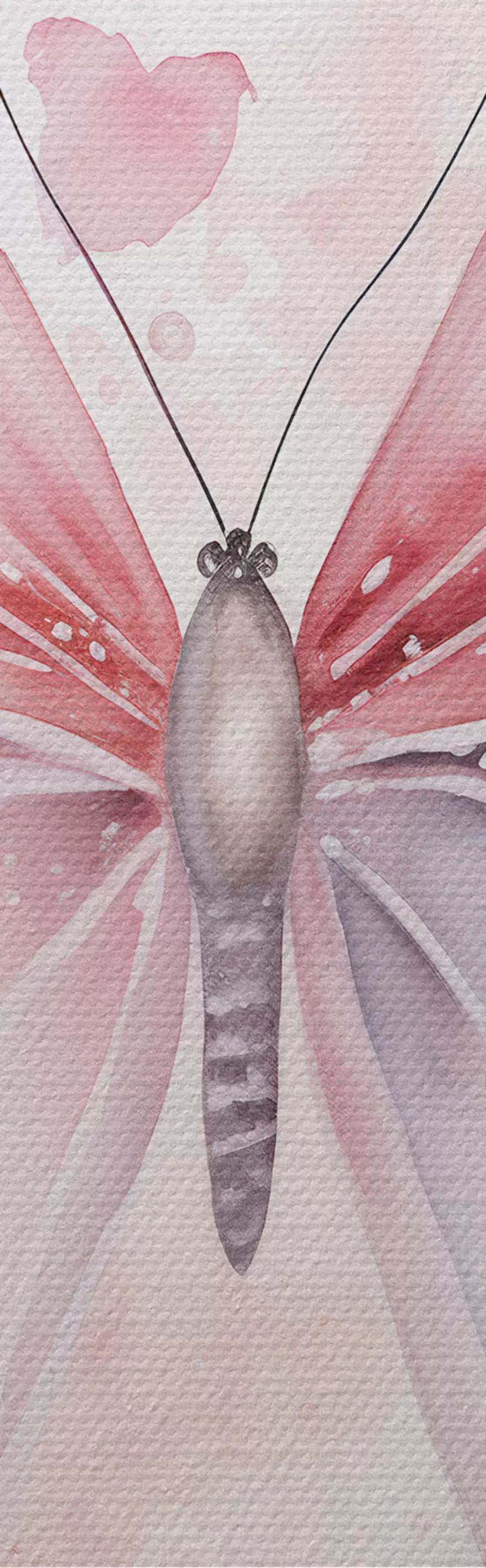 Wandbilder Verschiedene rosa Schmetterlinge m00864