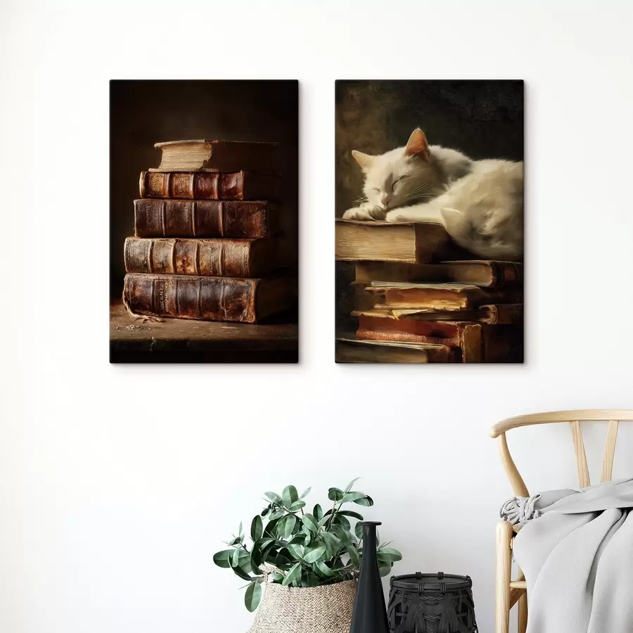 Wandbilder Katze auf Büchern m00918