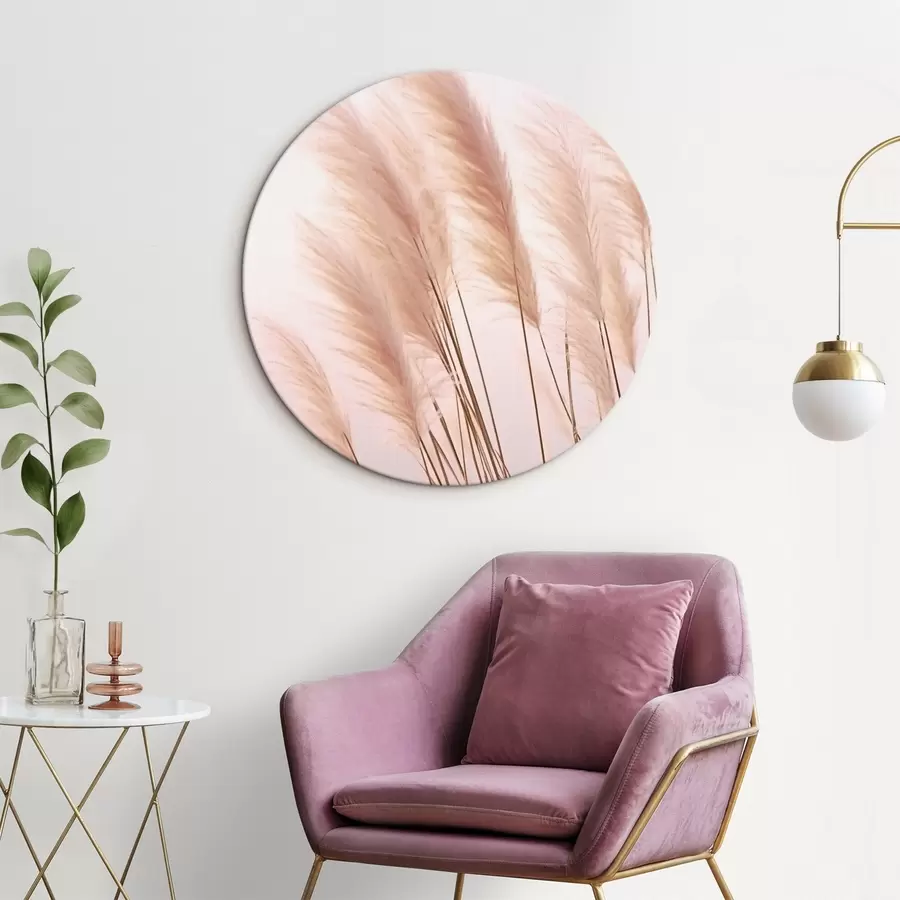 Wandbilder Helle Gräser mit flauschigen Spitzen auf hellem Hintergrund r46179