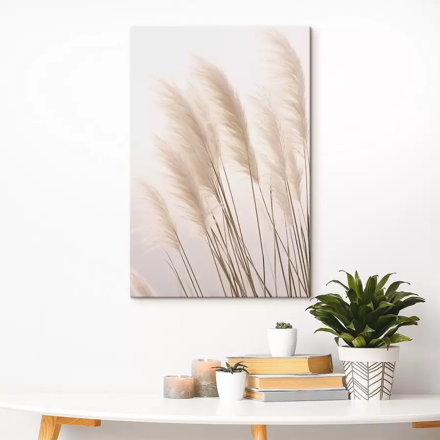 Wandbilder Helle Gräser mit flauschigen Spitzen auf hellem Hintergrund s46179