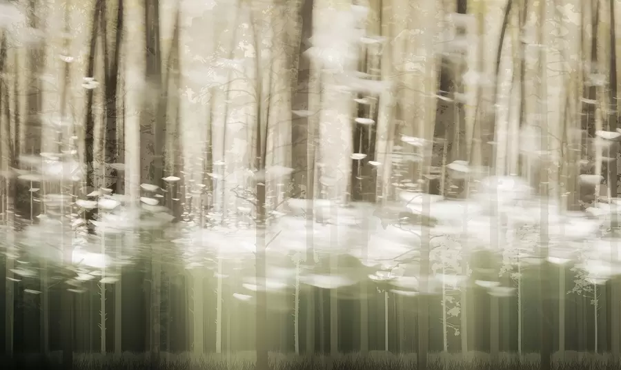 Fototapete Stilisierte Baumstämme in Pastellfarben w04844