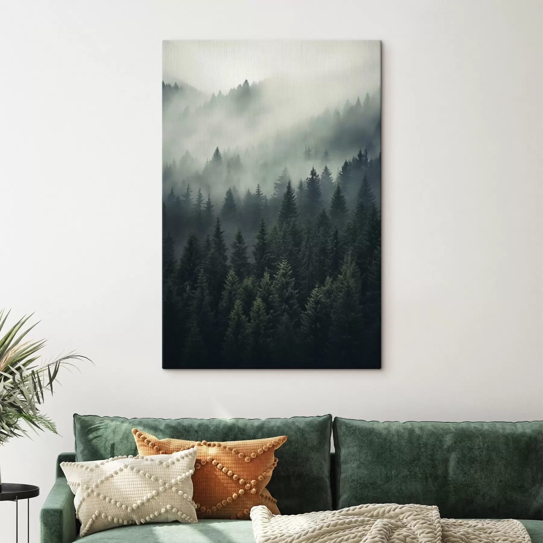 Wandbilder Nebel zieht über dichten immergrünen Wald hinweg s46512