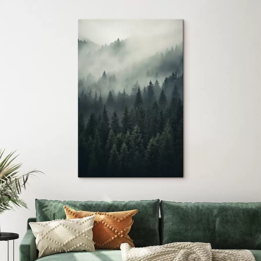 Wandbilder Nebel zieht über dichten immergrünen Wald hinweg s46512