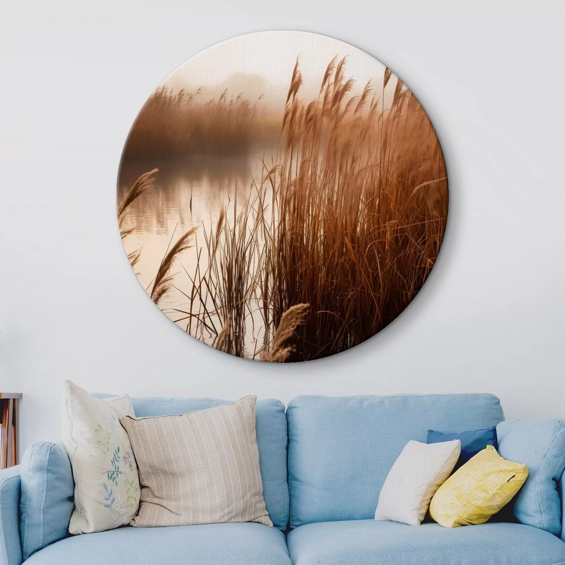 Wandbilder Hohe Schilfpflanzen wachsen in einem Gewässer, das Wasser spiegelt die Schilfpflanzen wider, nebliger Hintergrund, sanftes Licht, Naturszene r46695