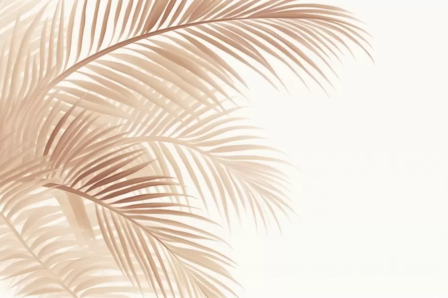 Fototapete Farnblätter w04884