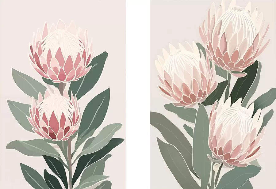 Fototapete Proteas d00846