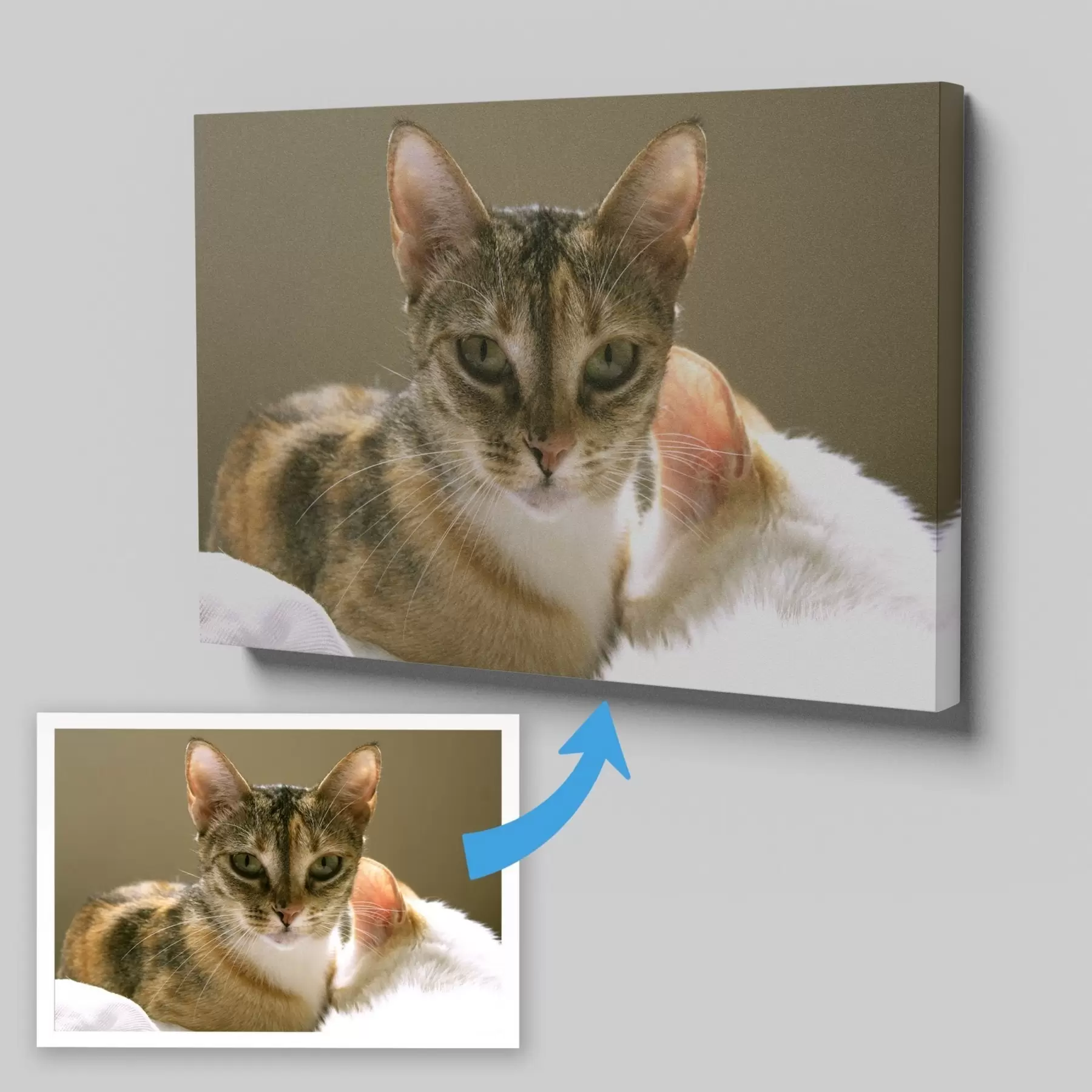 Wandbilder Foto Ihrer Katze auf Leinwand s47165