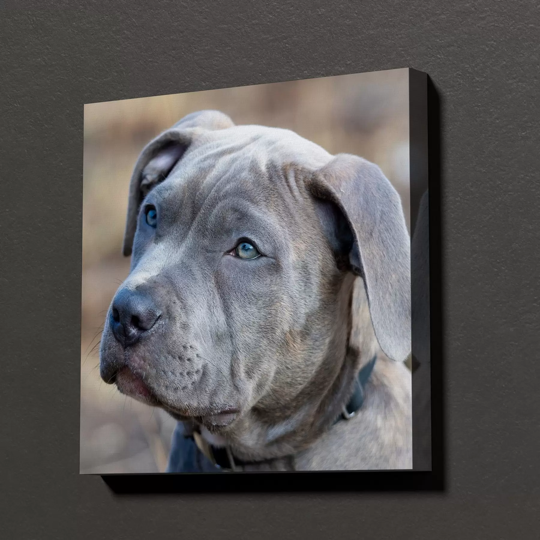 Wandbilder Ihr Hund nach Ihren Vorgaben, anhand Ihres Fotos s47170