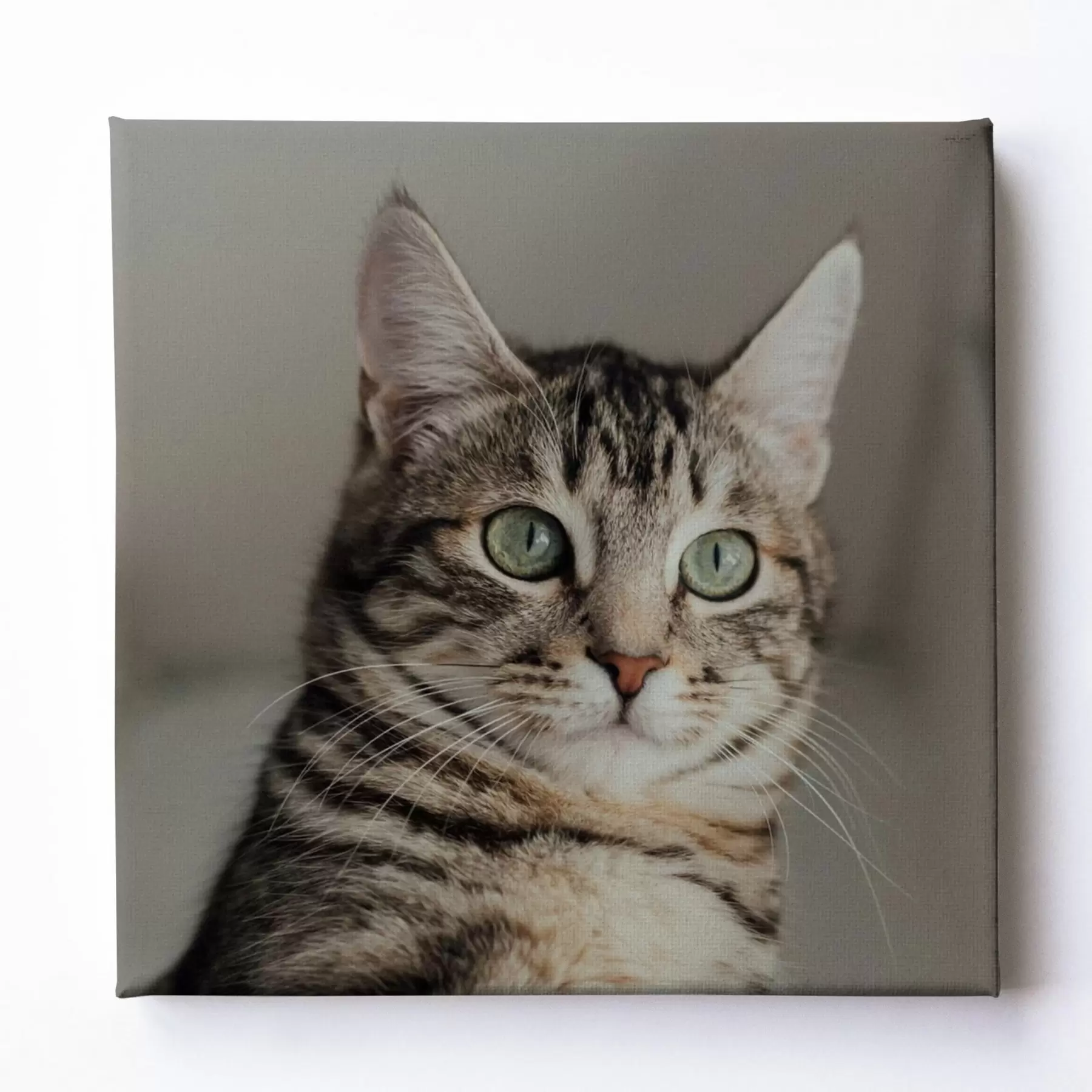 Wandbilder Romantisches Geschenk für ein Paar basierend auf einem Foto s47204