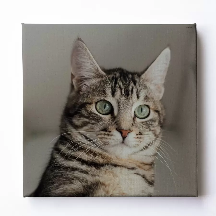 Wandbilder Romantisches Geschenk für ein Paar basierend auf einem Foto s47204