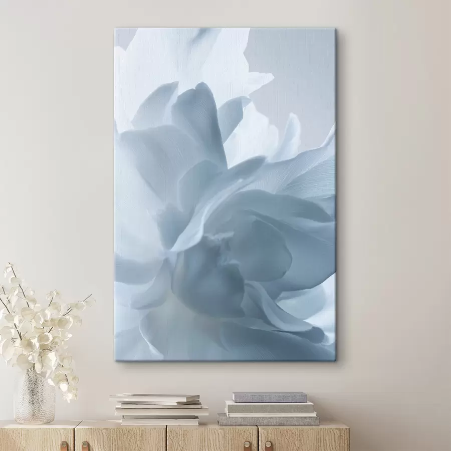 Wandbilder zarte Blütenblätter in Blautönen s47691