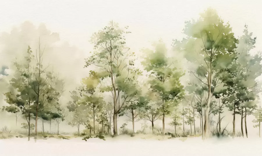 Fototapete Aquarell Laubwald w05180