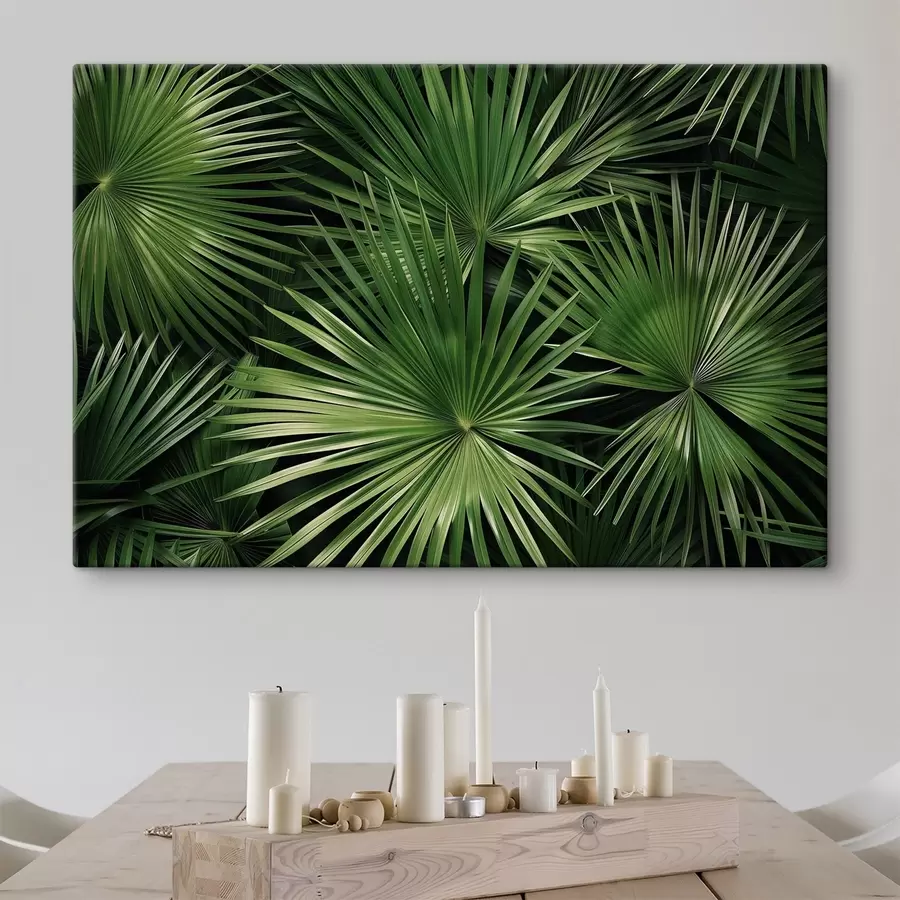 Wandbilder Große Blätter, Bragaea s47746