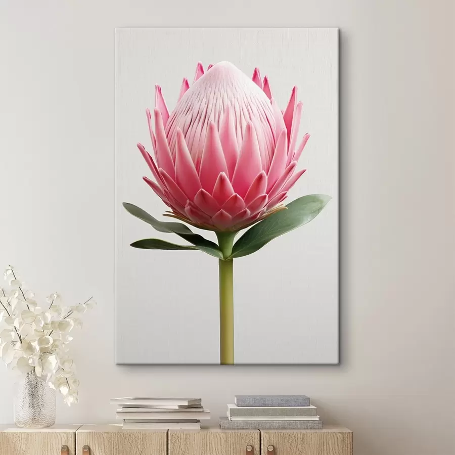 Wandbilder Exotische Blume, Protea s47823