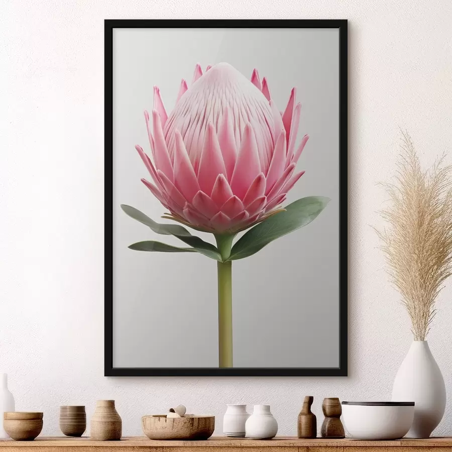 Fototapete Exotische Blume, Protea f47823