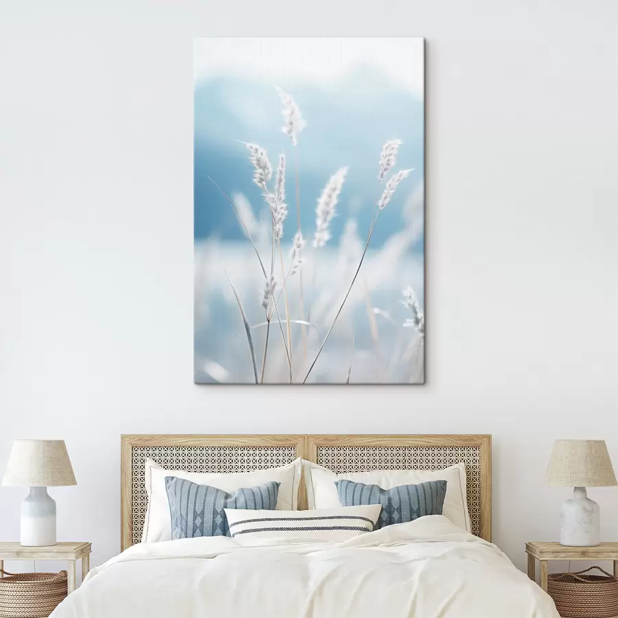 Wandbilder Weißes, flauschiges Gras vor einem sanften blauen Himmel, mit geringer Tiefenschärfe s47880