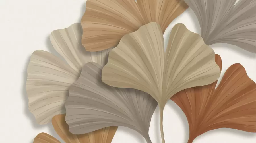 Fototapete Große Blätter w05288