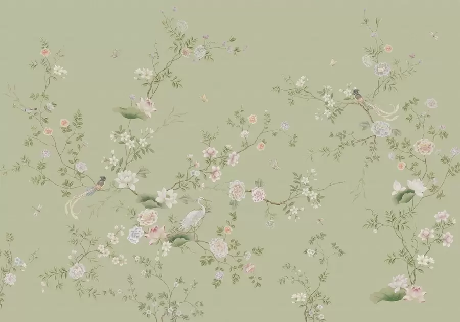 Fototapete Blühende Zweige mit Vögeln auf hellgrünem Hintergrund w05416