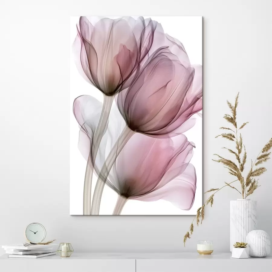 Wandbilder elegante, halbtransparente Tulpen s49564