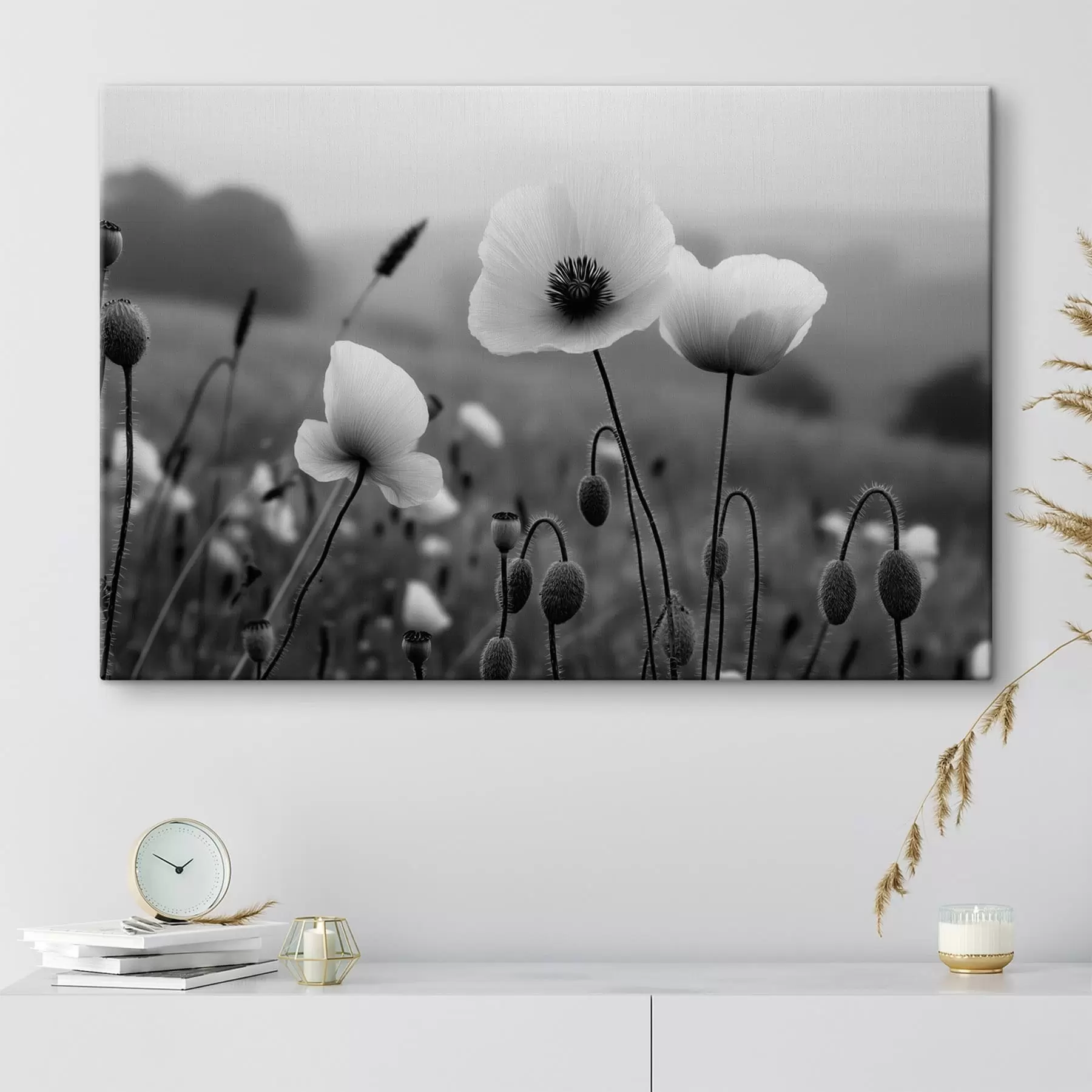 Wandbilder Schwarz-weiße Mohnblumen vor einem verschwommenen Hintergrund s49692