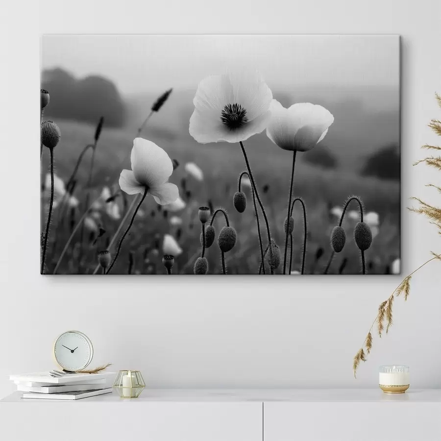 Wandbilder Schwarz-weiße Mohnblumen vor einem verschwommenen Hintergrund s49692